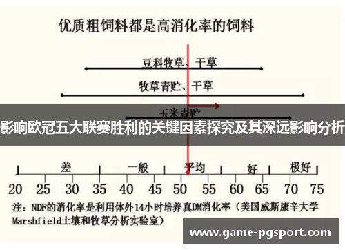 影响欧冠五大联赛胜利的关键因素探究及其深远影响分析