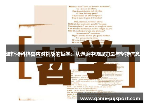 波斯特科格鲁应对挑战的哲学：从逆境中汲取力量与坚持信念