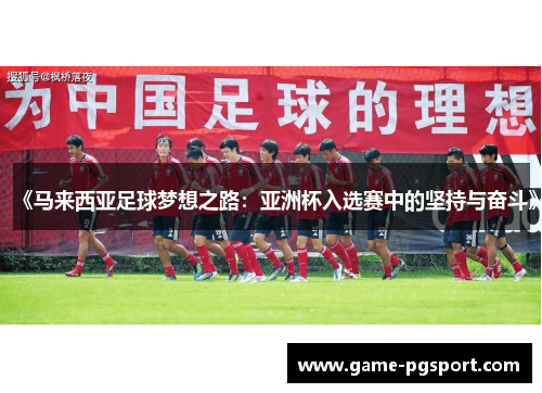 《马来西亚足球梦想之路：亚洲杯入选赛中的坚持与奋斗》