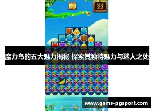 魔力鸟的五大魅力揭秘 探索其独特魅力与迷人之处